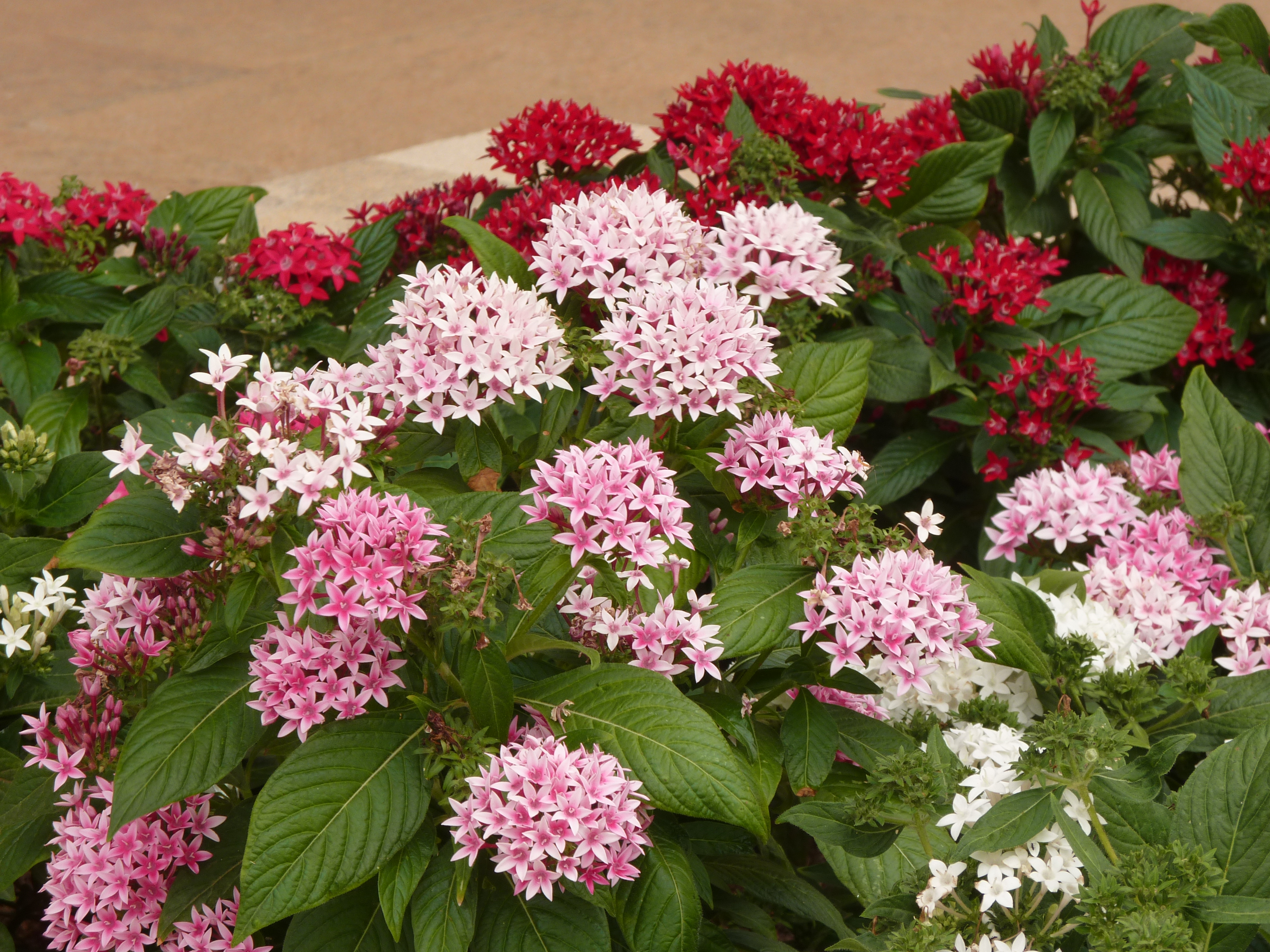 No s'ha trobat l'arxiu